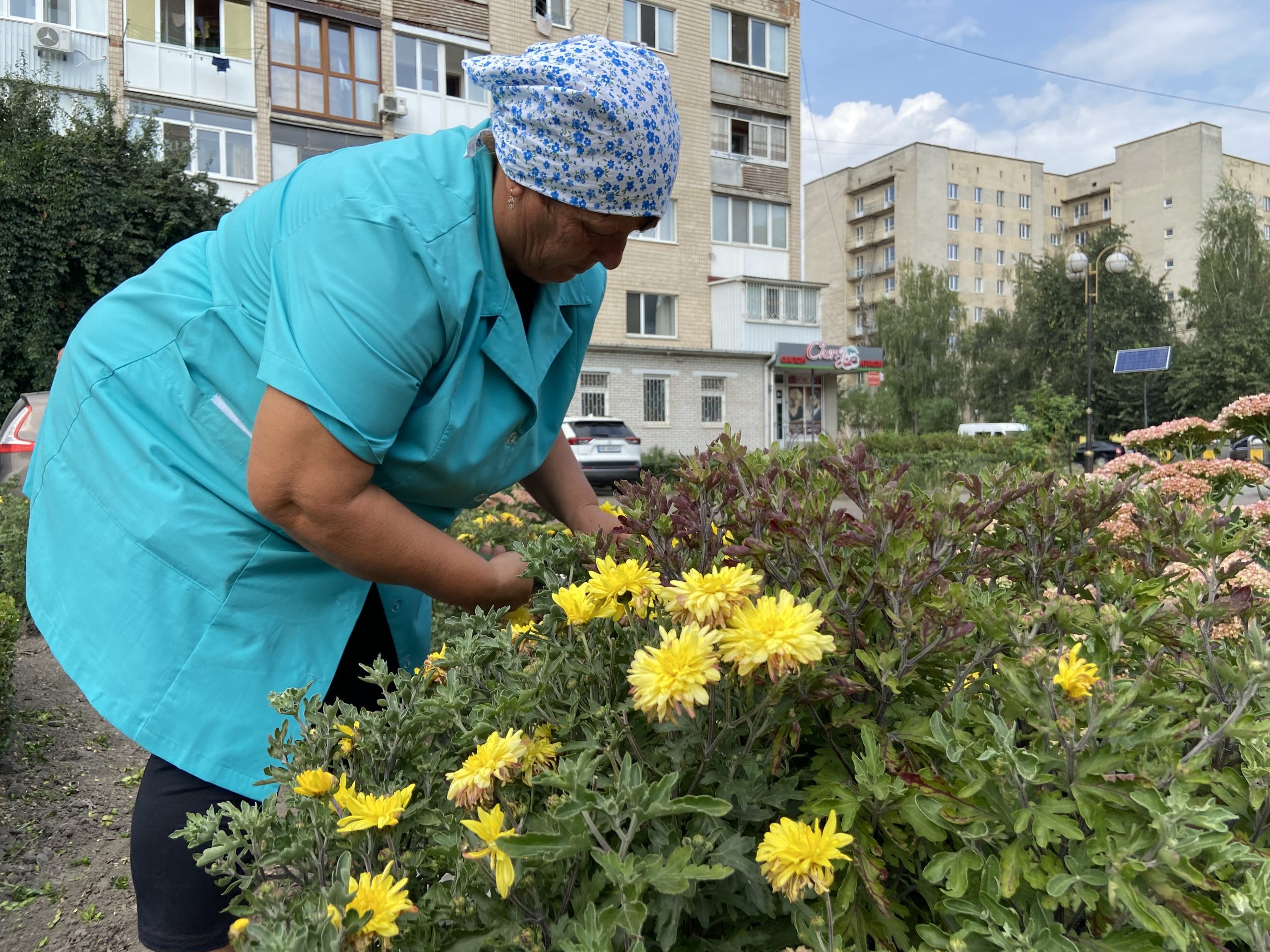 Підтримка озеленення Вінниці: обладнання та інклюзивні програми для працівників