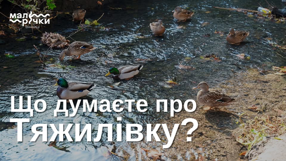 КП «Інститут розвитку міст» запрошує мешканців Вінниці взяти участь в опитуванні щодо річки Тяжилівки