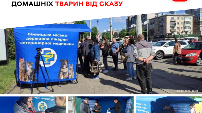 У приватному секторі Вінниці продовжується профілактична кампанія з вакцинації домашніх улюбленців проти сказу