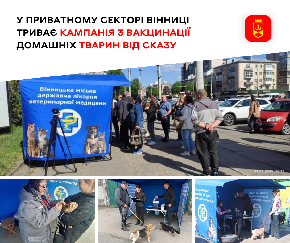 У приватному секторі Вінниці продовжується профілактична кампанія з вакцинації домашніх улюбленців проти сказу