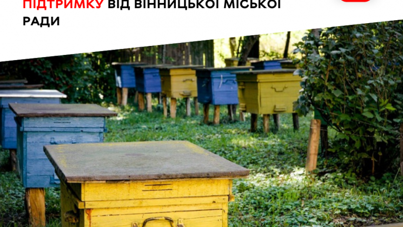 18 вінницьких пасічників отримають фінансову підтримку від міської ради.
