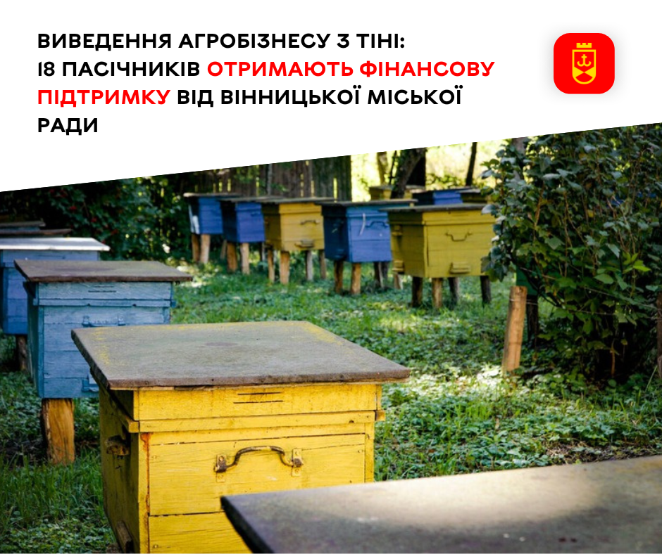 18 вінницьких пасічників отримають фінансову підтримку від міської ради.