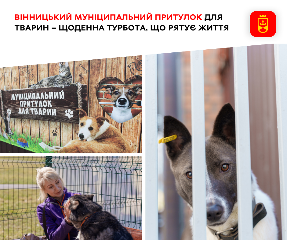 Врятувати і подбати: місія притулку для тварин у Вінниці