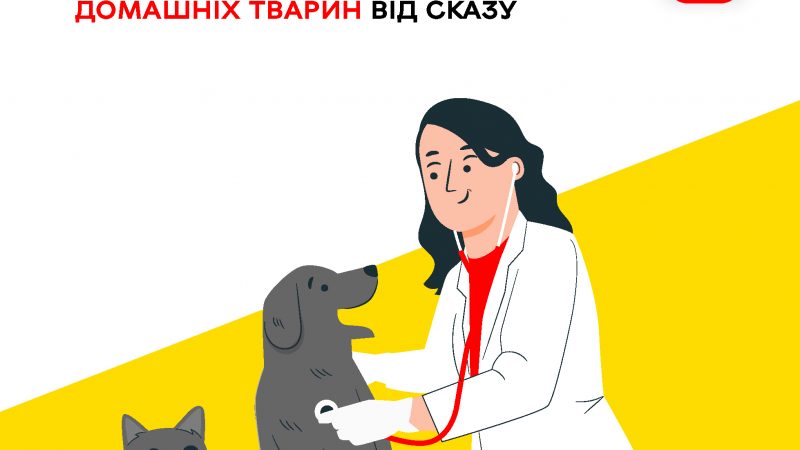 У Вінницьких Хуторах триває безкоштовна кампанія з вакцинації домашніх тварин проти сказу