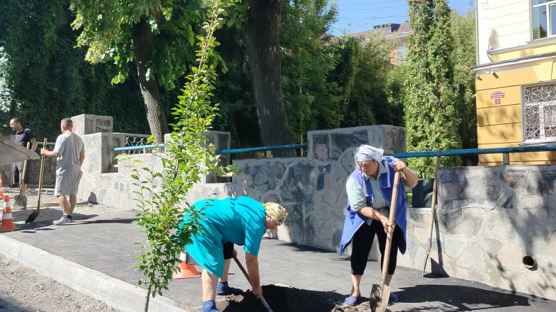 Біля ліцею №3 у Вінниці облаштували оновлений простір