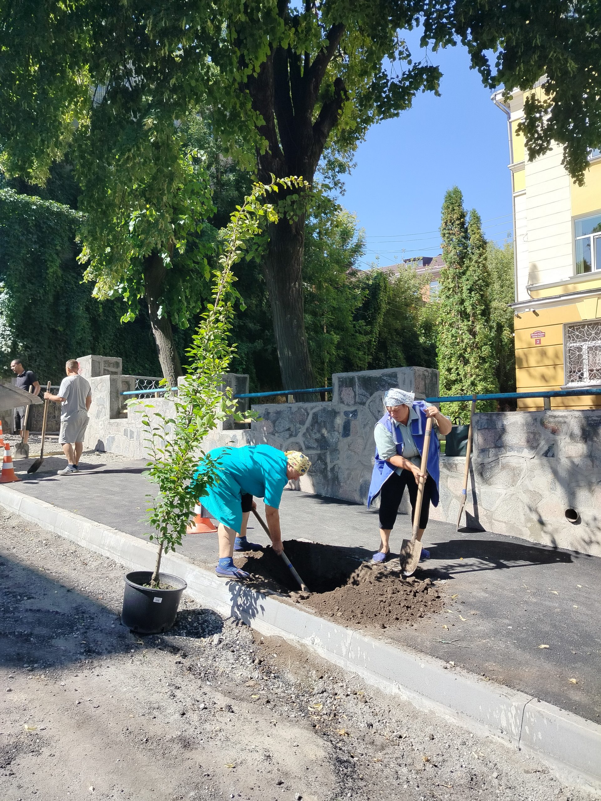 Біля ліцею №3 у Вінниці облаштували оновлений простір