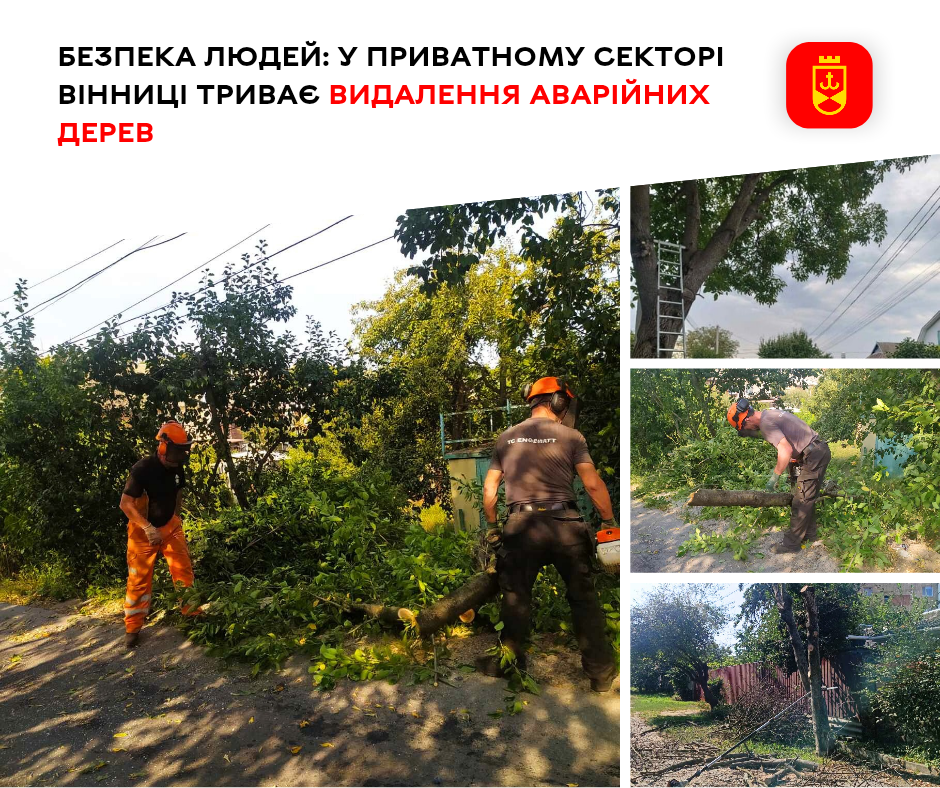 У приватному секторі Вінниці продовжують прибирати аварійні дерева
