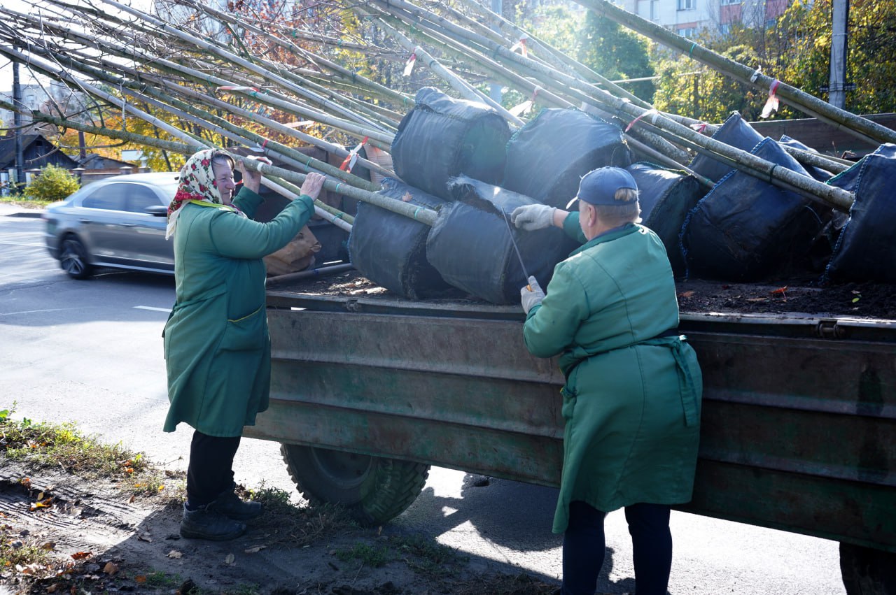 У громаді розпочалася осіння висадка дерев і кущів