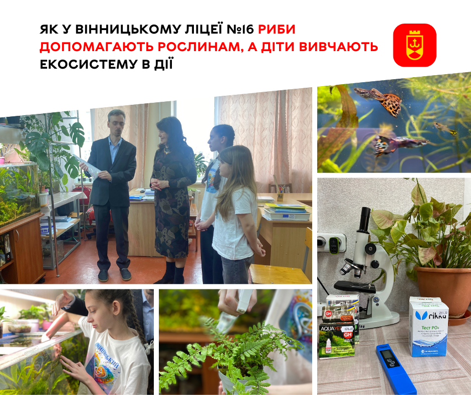 У вінницькому ліцеї №16 риби допомагають вирощувати рослини, а учні досліджують роботу екосистеми