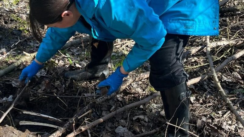 У Вінниці очистили річку Скельну: зібрали десятки шин і мішків сміття