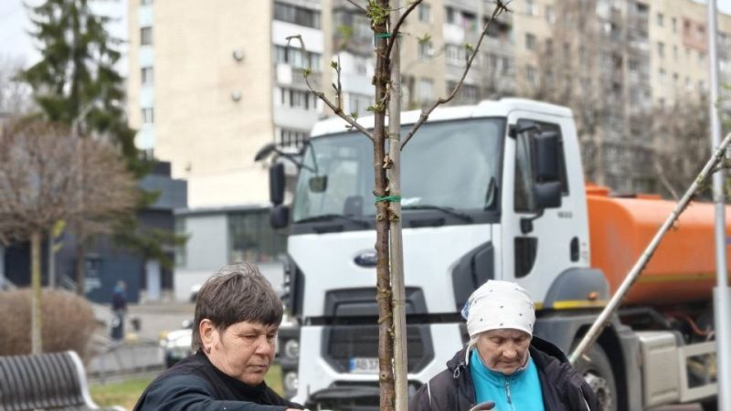 На проспекті Космонавтів висадили тюльпанові дерева та пекінський бузок