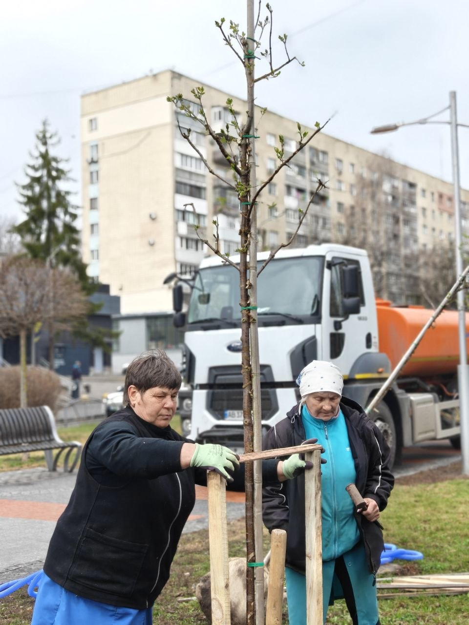 На проспекті Космонавтів висадили тюльпанові дерева та пекінський бузок