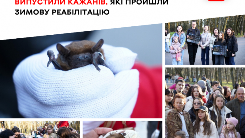 Понад сотню кажанів повернули в природне середовище у Вінниці