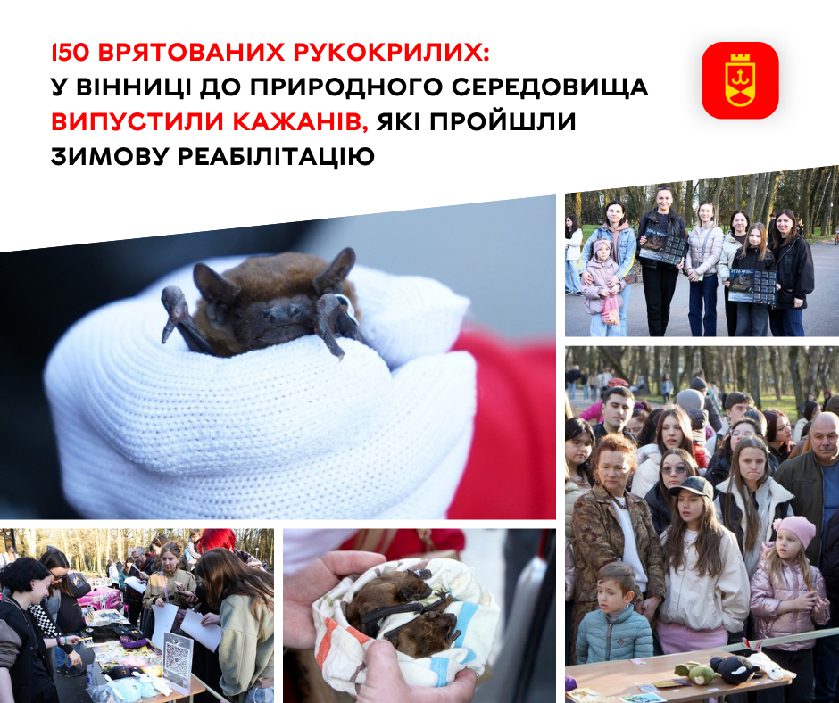 Понад сотню кажанів повернули в природне середовище у Вінниці
