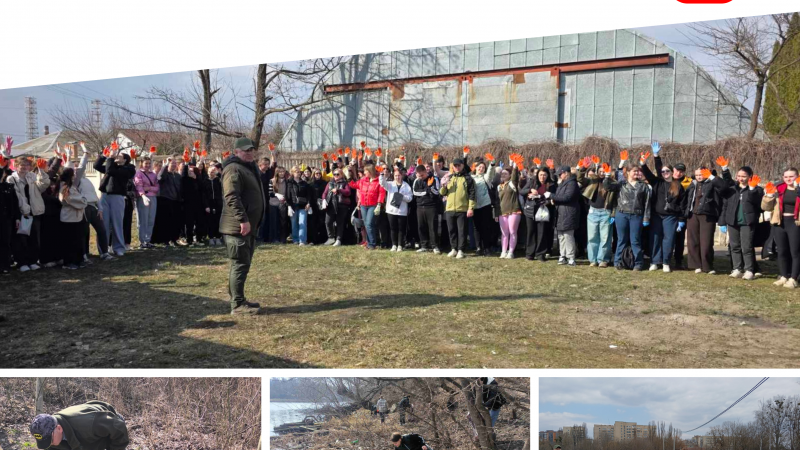 Понад 1300 людей взяли участь у вінницькій толоці від початку акції