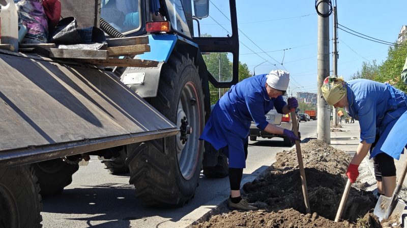 У Вінниці завершують весняне озеленення: висаджено близько 250 саджанців