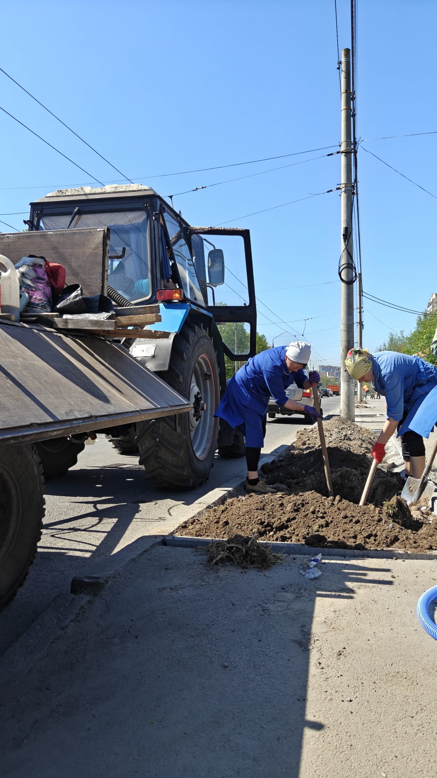 У Вінниці завершують весняне озеленення: висаджено близько 250 саджанців