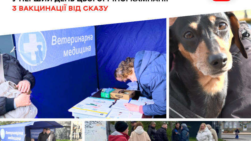У перший день вакцинації у Вінниці щеплення отримали майже 200 домашніх собак і котів