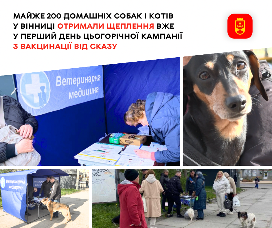 У перший день вакцинації у Вінниці щеплення отримали майже 200 домашніх собак і котів