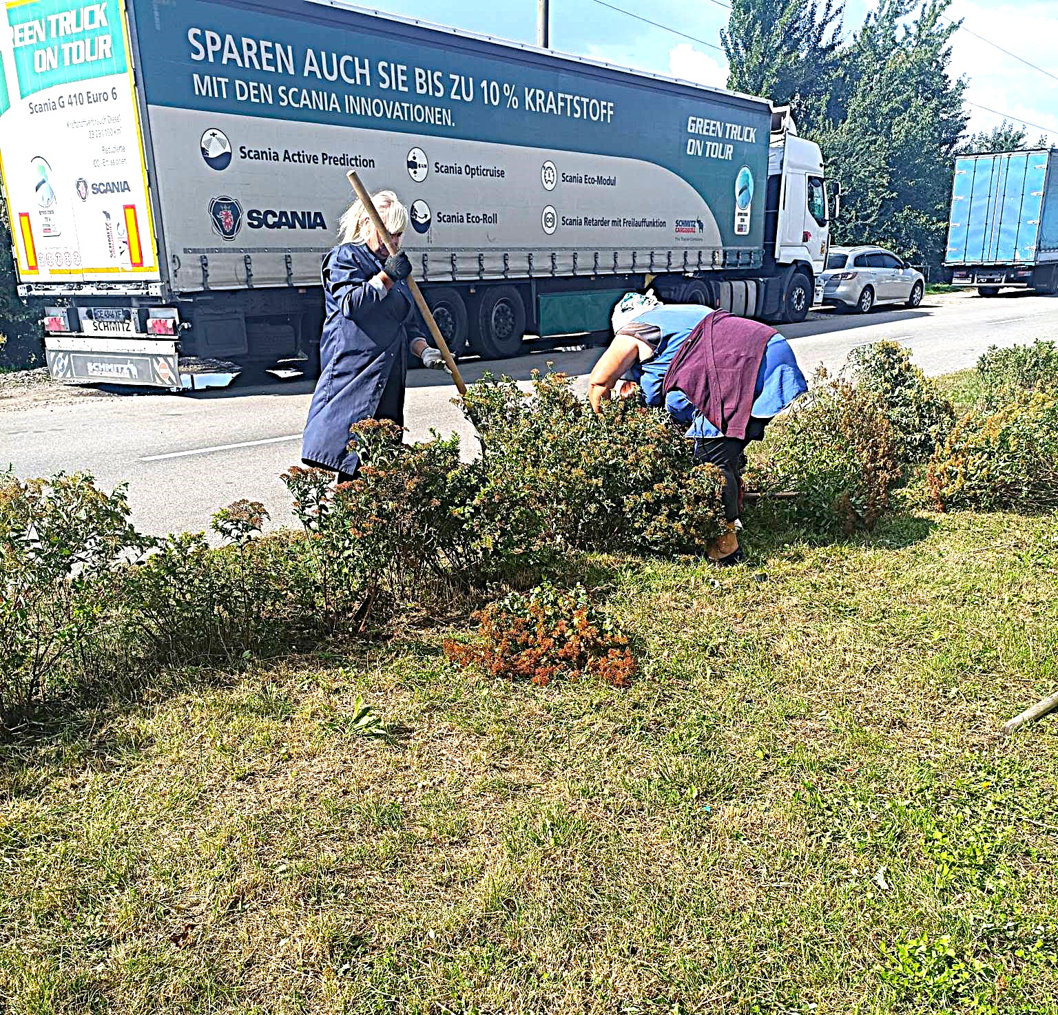 Десна стала зеленішою: біля кінцевої зупинки та на Лесі Українки висадили 40 кущів спіреї й хризантем