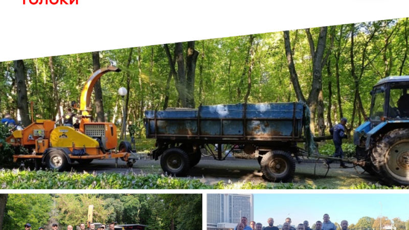 Дві толоки у Центральному парку імені Леонтовича об'єднали 75 учасників: найбільшу зелену зону Вінниці впорядкували до щоденних прогулянок
