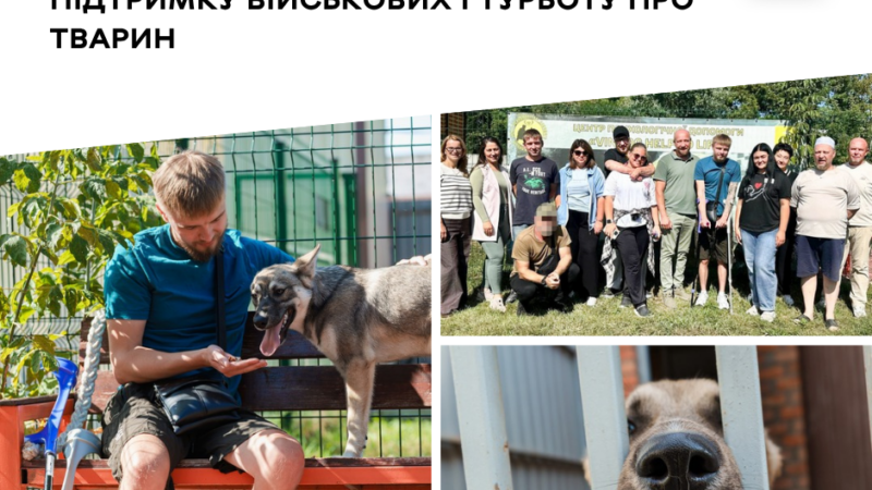 «Хвостатий оберіг»: військові після поранень відновлюються, спілкуючись із собаками вінницького притулку