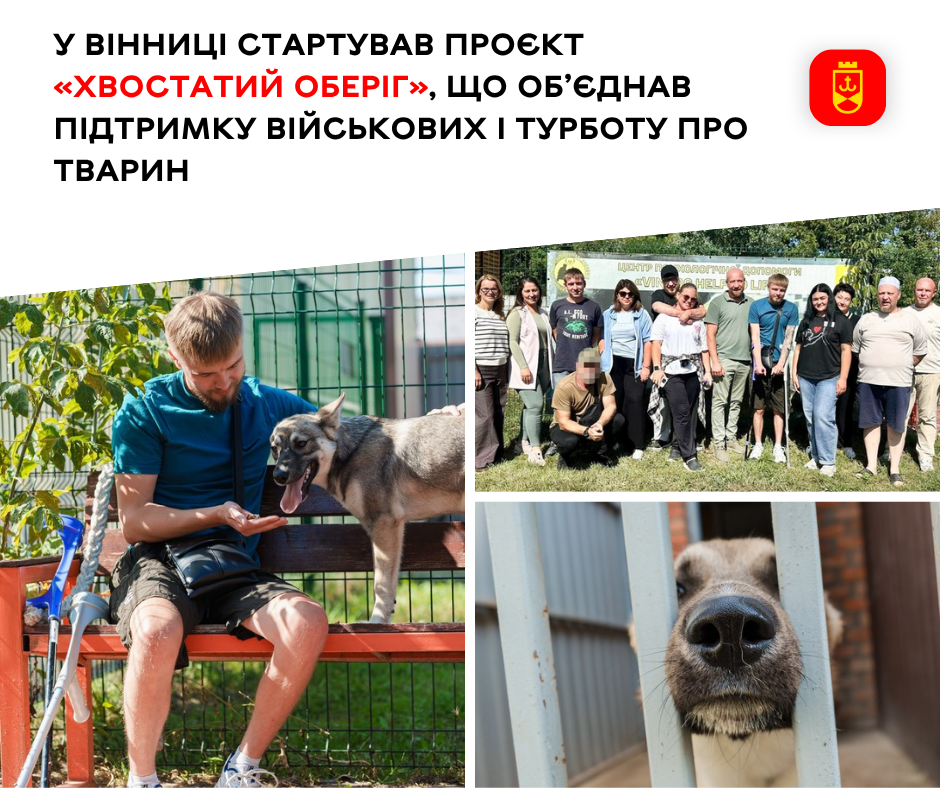 «Хвостатий оберіг»: військові після поранень відновлюються, спілкуючись із собаками вінницького притулку
