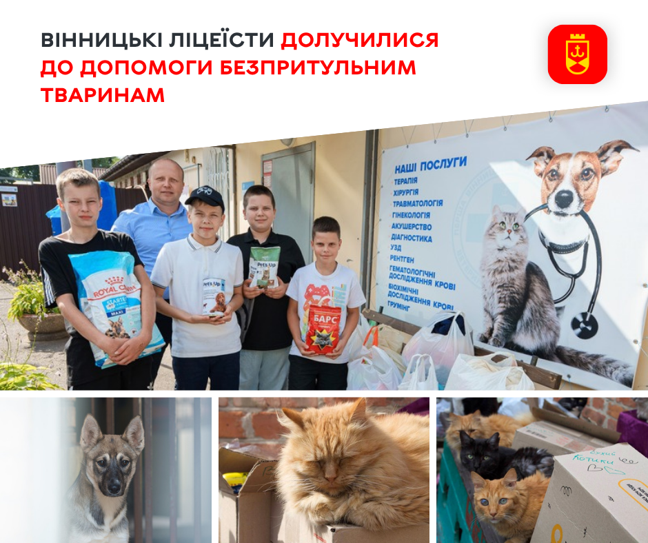 Ліцеїсти Вінниці зібрали корм і гостинці для притулків: до марафону добрих справ долучилися понад пів десятка шкіл