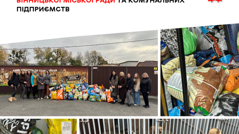 Понад тонну корму, ліки та іграшки передали Муніципальному притулку для тварин у Вінниці